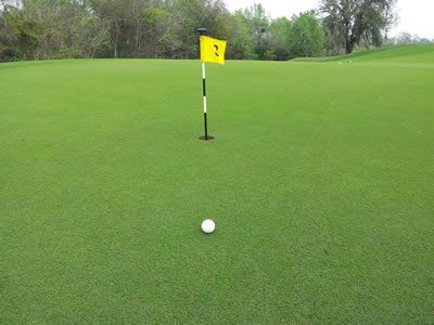 shortputt Golf ball on green, near flag.