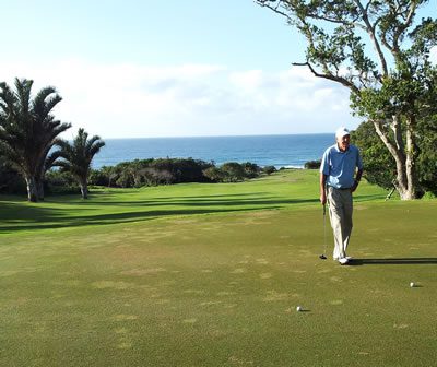 A man is playing golf on the green