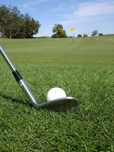 Golf club and ball on green.